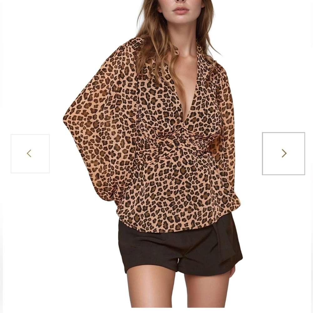 Pleione Leopard Print V-Neck Blouse